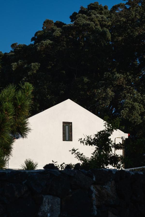 Entre Muros - Turismo Rural - Casa Com Jardim E Acesso Direto Ao Mar هيبيرا غْريندي المظهر الخارجي الصورة